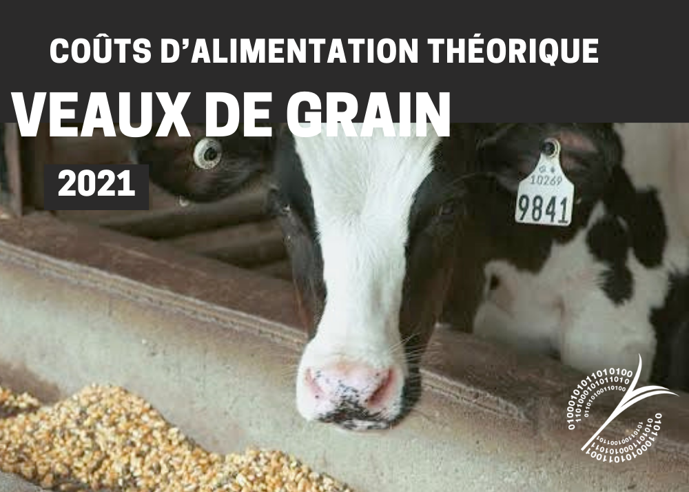 Informations complémentaires : COÛTS D'ALIMENTATION THÉORIQUE - VEAUX DE GRAIN 2021